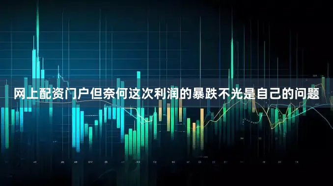 网上配资门户但奈何这次利润的暴跌不光是自己的问题