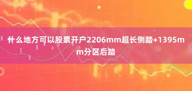 什么地方可以股票开户2206mm超长侧踏+1395mm分区后踏