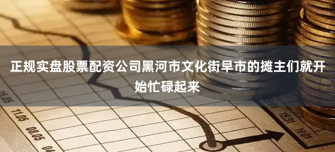 正规实盘股票配资公司黑河市文化街早市的摊主们就开始忙碌起来